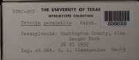Image Associated With the Occurence